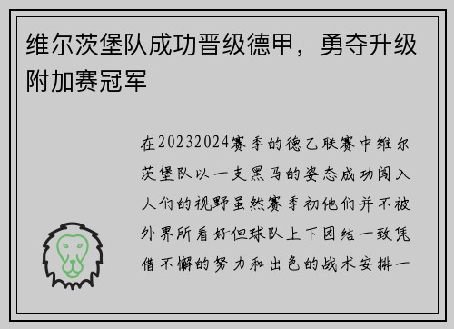 维尔茨堡队成功晋级德甲，勇夺升级附加赛冠军
